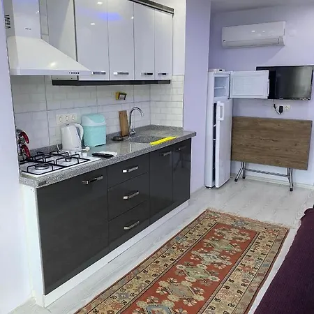 Апартаменты Aydin Apart